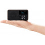 SANGEAN DDR-7 DAB , FM-RDS, Aux-in, Bluetooth, Wooden Cabinet Receiver