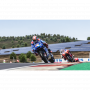 MILESTONE MOTOGP 22 SWITCH