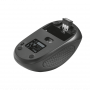 TRUST 20322 MOUSE WIRELESS PRIMO