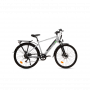 EMG KING CITYBIKE 28  TELAIO IN ALLUMINIO AMMORTIZZATA BATT 13H SILVER