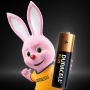 DURACELL DU0121 PILA STILO BLISTER 12 PILE AA  DU0121