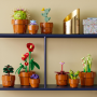 LEGO BOTANICALS 10329 PIANTINE ETA 18