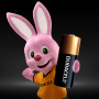 DURACELL MN21 BL2 BATTERIA