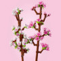 LEGO BOTANICALS 40725 FIORI DI CILIEGIO LEGO ETA 8