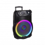 TREVI XF1600 DIFFUSORE TROLLEY BT 200W USB AUX IN