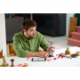 LEGO BOTANICALS 10369 ALBICOCCO GIAPPONESE ETA 18