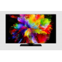PANASONIC TV-55Z80AE TVC LED 55 OLED 4K SMART HDR10  WIFI SAT 3 HDMI2