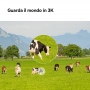 IMOU CRUISER SC 4G 2K VIDEOCAMERA IP ESTERNO 4G MOTORIZZATA 355 3MP FULL COLOR IP66 SLOT MICROSD
