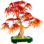 LEGO BOTANICALS 10348 BONSAI DI ACERO ROSSO GIAPPONESE 18 +