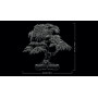 LEGO BOTANICALS 10348 BONSAI DI ACERO ROSSO GIAPPONESE 18 +