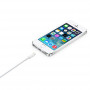 APPLE MD819ZM/A CAVO USB LIGHTNING 2MT