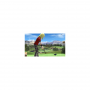 SONY Everybody s Golf PS4