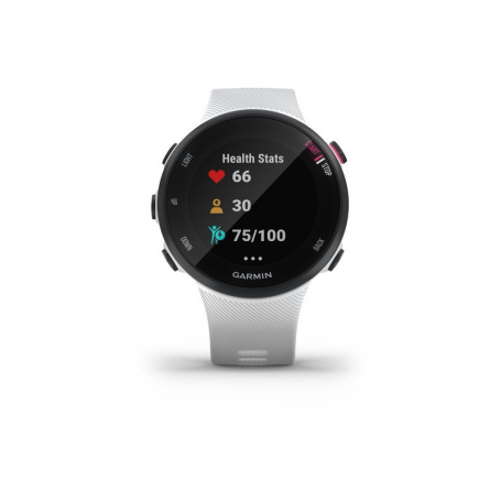 garmin forerunner 45 white large