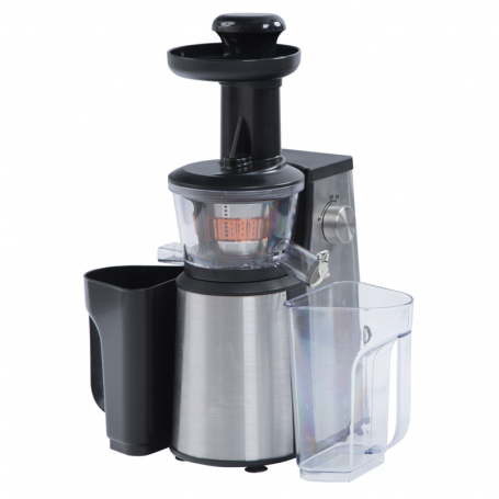 RGV JUICE ART NEW ESTRATTORE 400W ~ 60 GIRI/MINUTO