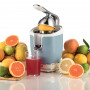 ARIETE 413C SPREMIAGRUMI VINTAGE CELESTE