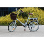 NILOX 30NXEB140V E-BIKE PIEGHEVOLE J1 20  250W AUT.25KM 25KM/H GRA